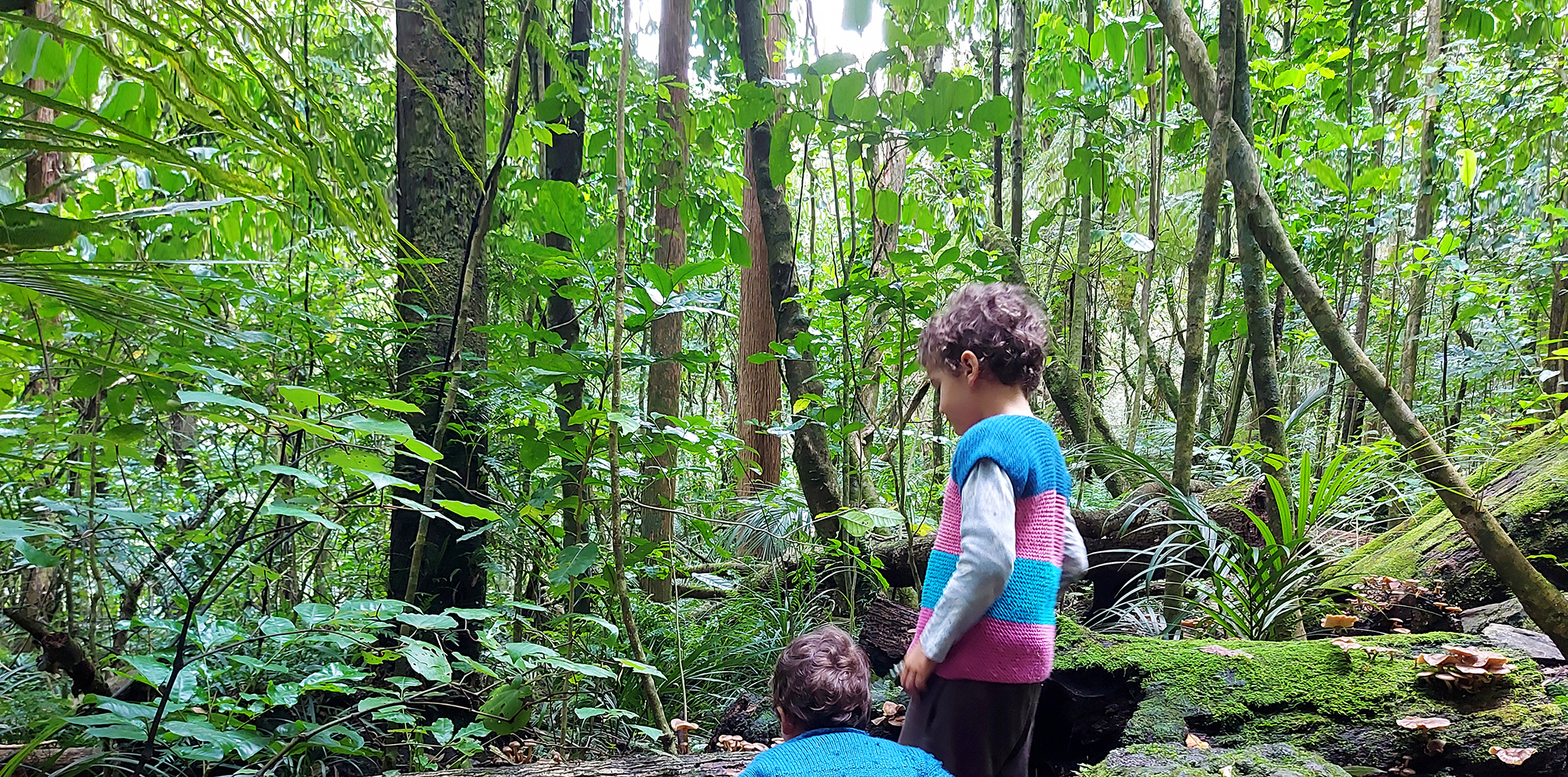 Unsplashed background img 1